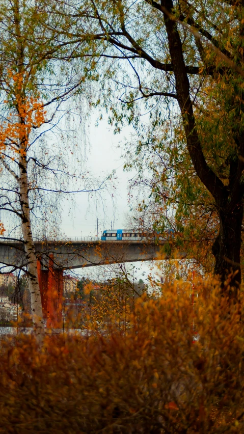 a bridge and some trees on a hill