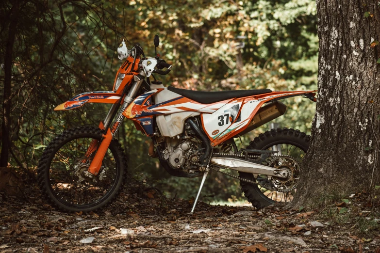 a motorcycle parked next to a tree in the woods