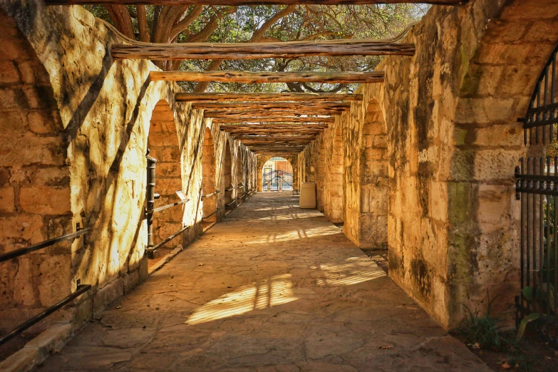 an empty narrow walkway in a park in the middle of the day