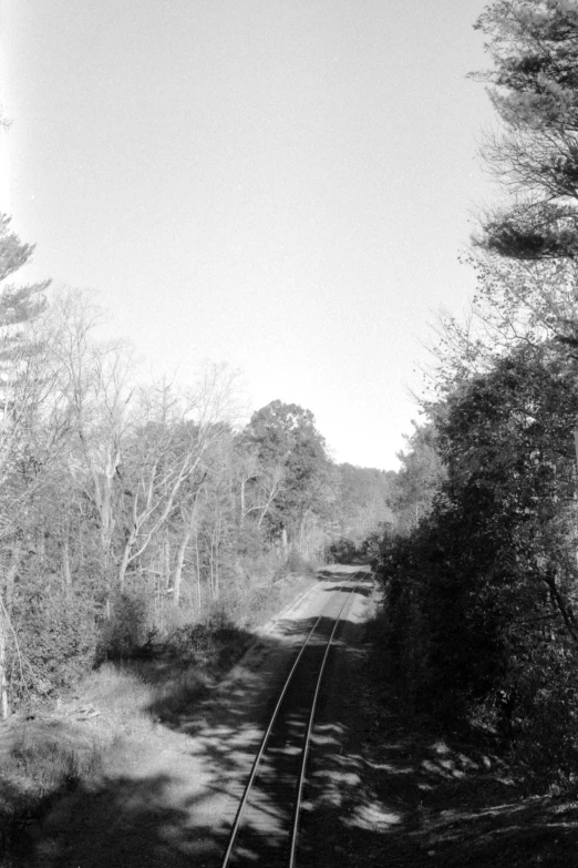 a black and white po of a train tracks through a wooded area