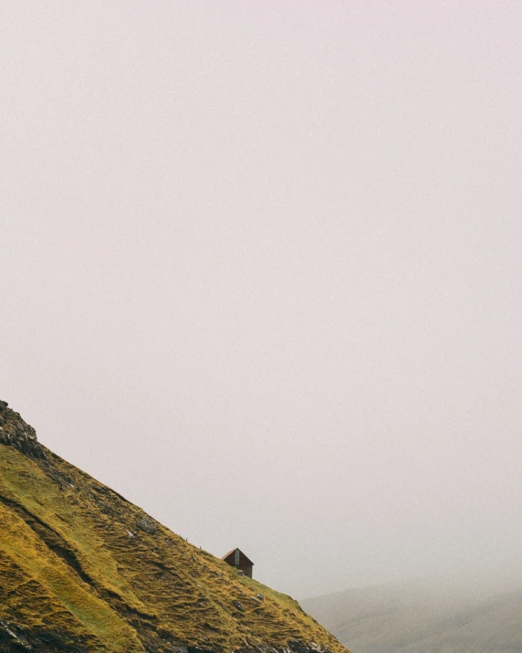 a lone goat is walking up a hill