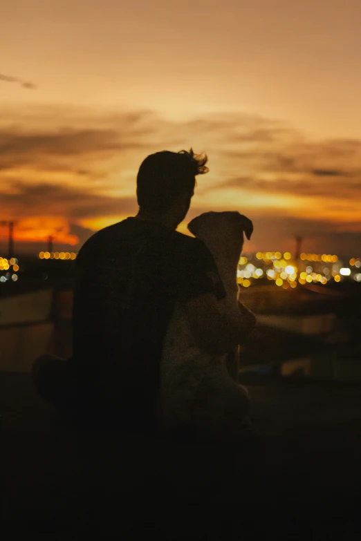 a man and his dog overlooking the city at sunset