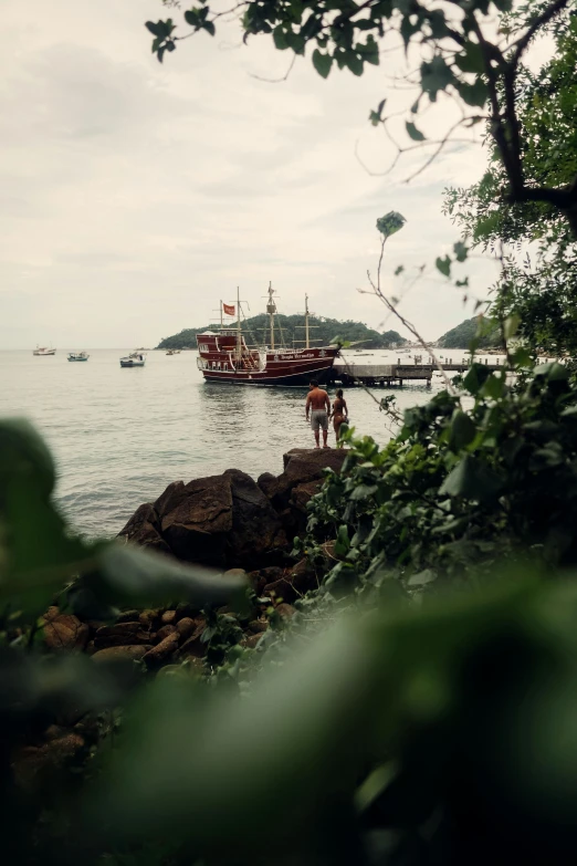 boats on a body of water surrounded by trees