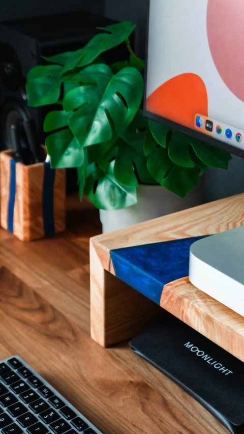 closeup of wooden holder beside a computer and a plant