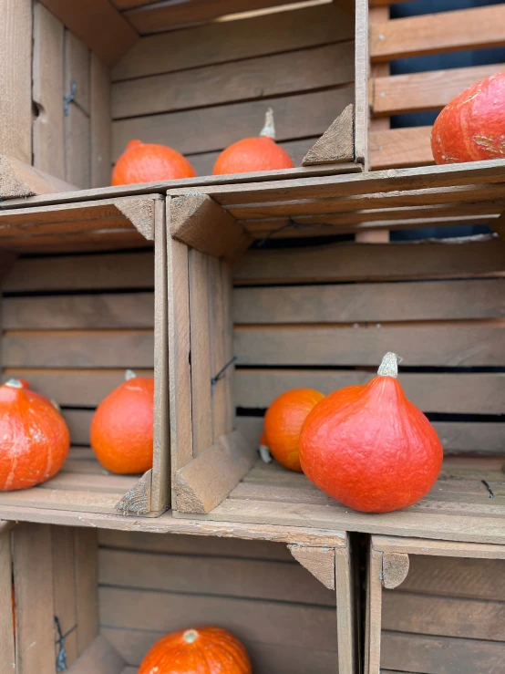 many shelves filled with multiple pieces of fruit