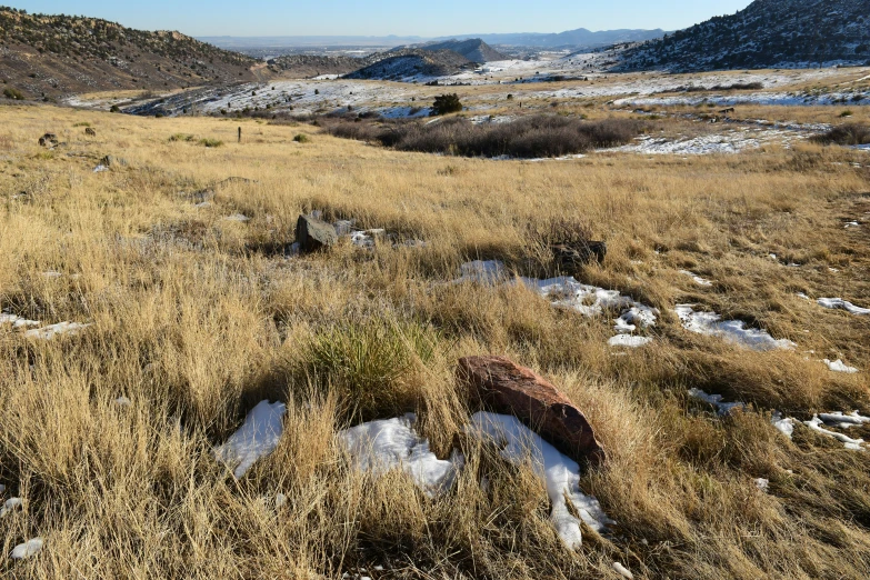 there is an old rock that was buried in the ground