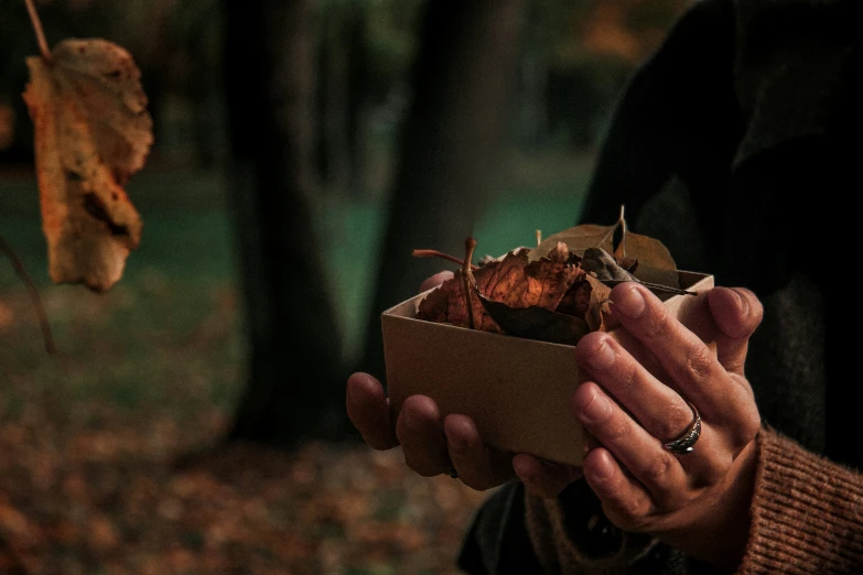 a person holding an opened wooden box filled with leaves