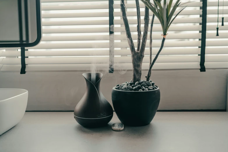 some plants are on the table near the window