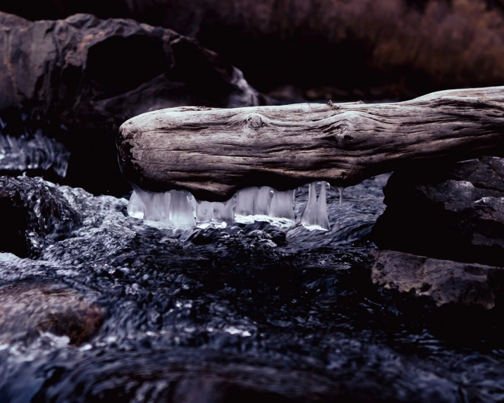 an image of water coming from under a tree nch