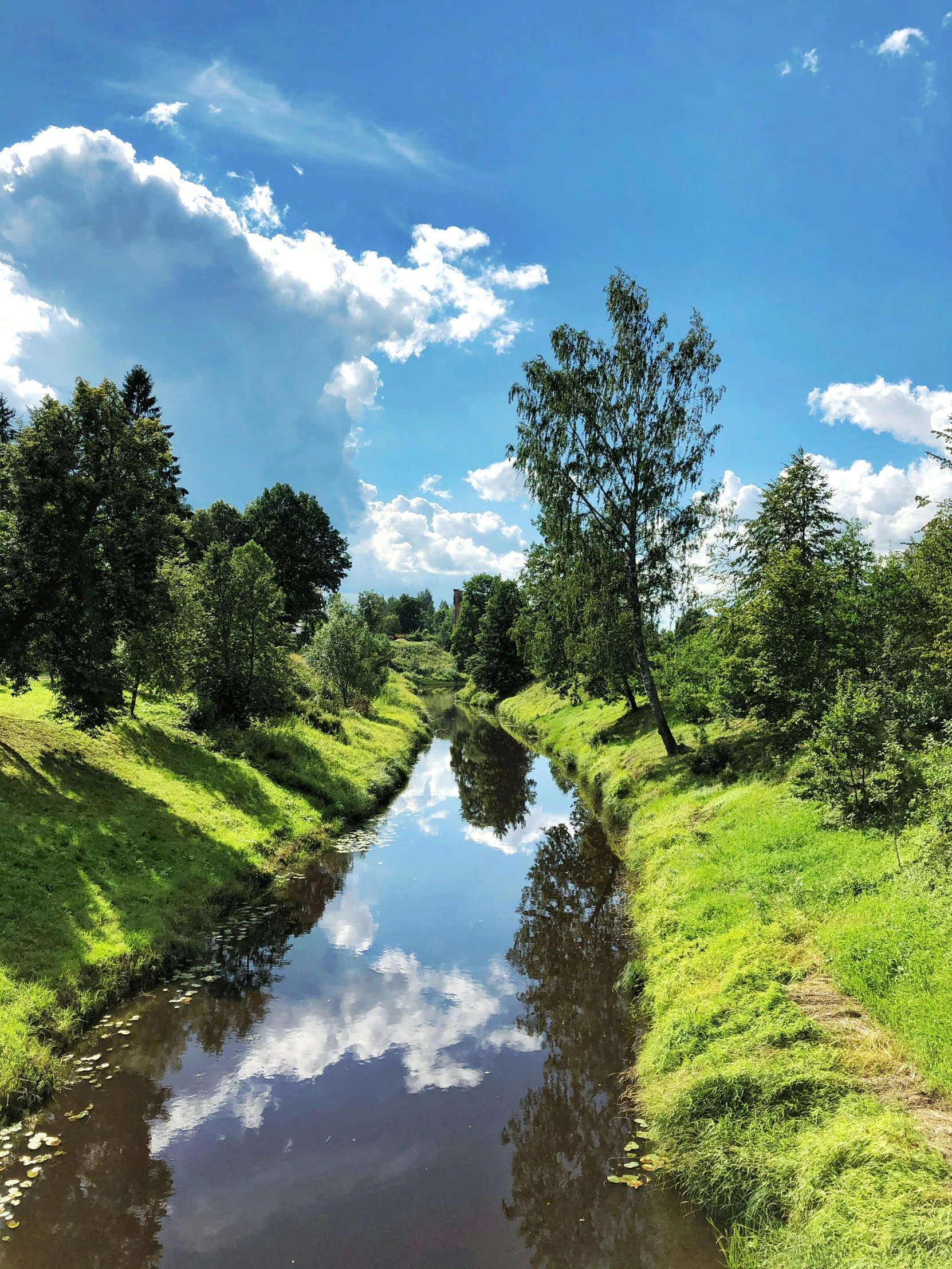 a small creek in the middle of a grassy field