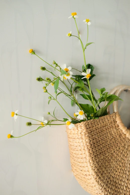 flowers in a basket are seen here on the wall