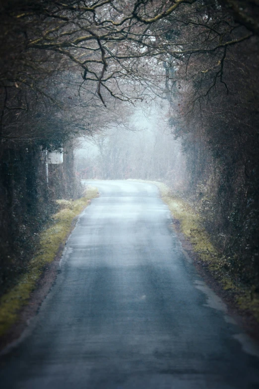 a deserted road surrounded by trees during winter