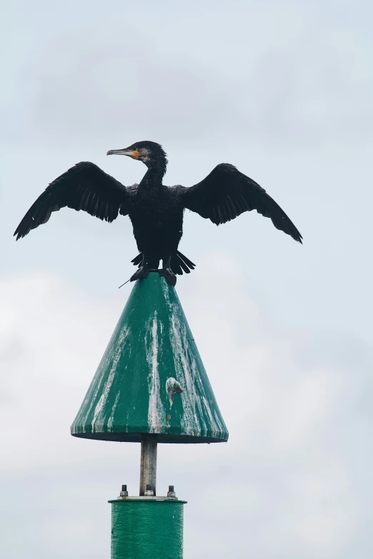 there is a black bird on the top of a tower