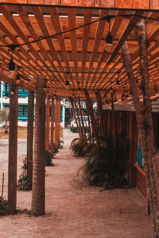 many trees are in a row and a building in the distance