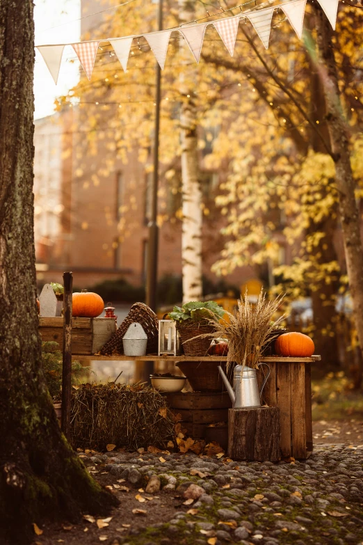 an autumn garden display in a forest