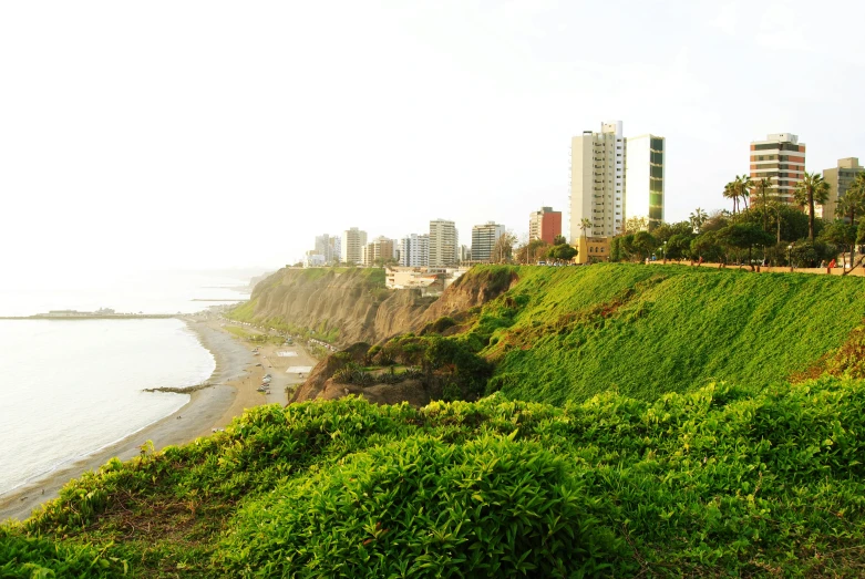 there is a grassy hillside overlooking the ocean