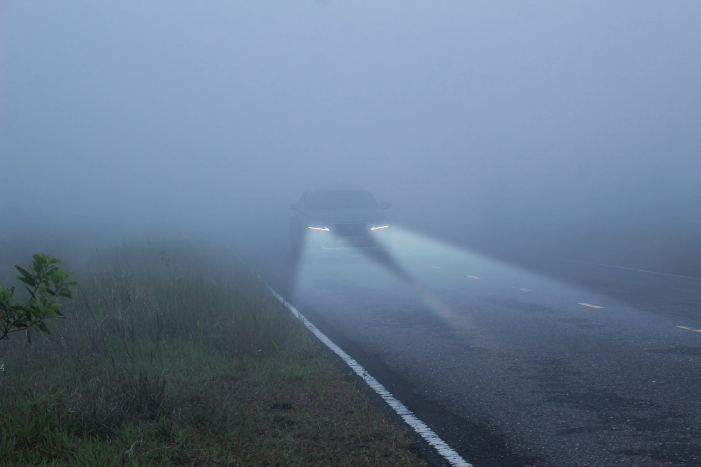 a bus traveling down the highway in the fog