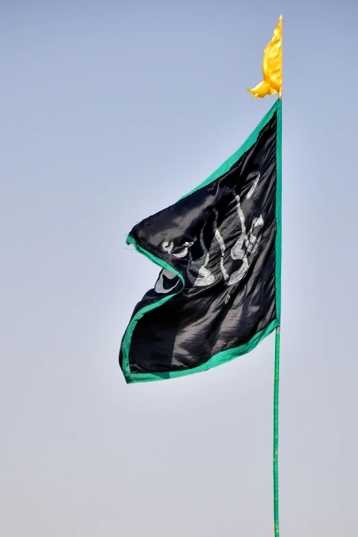 a close up of a green and black flag