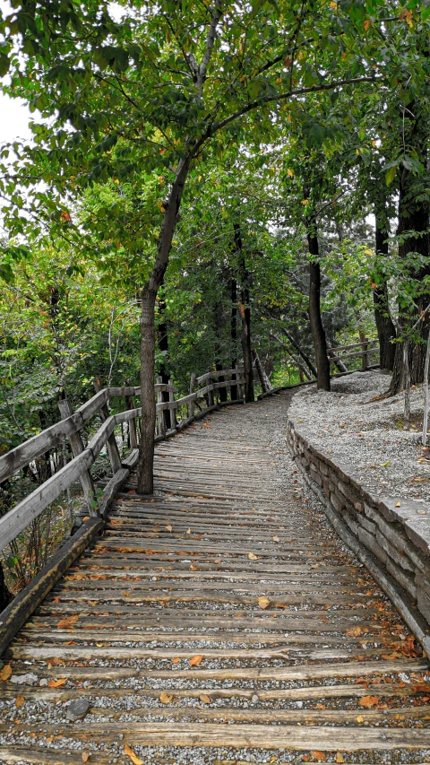 a wooden path surrounded by trees in the forest
