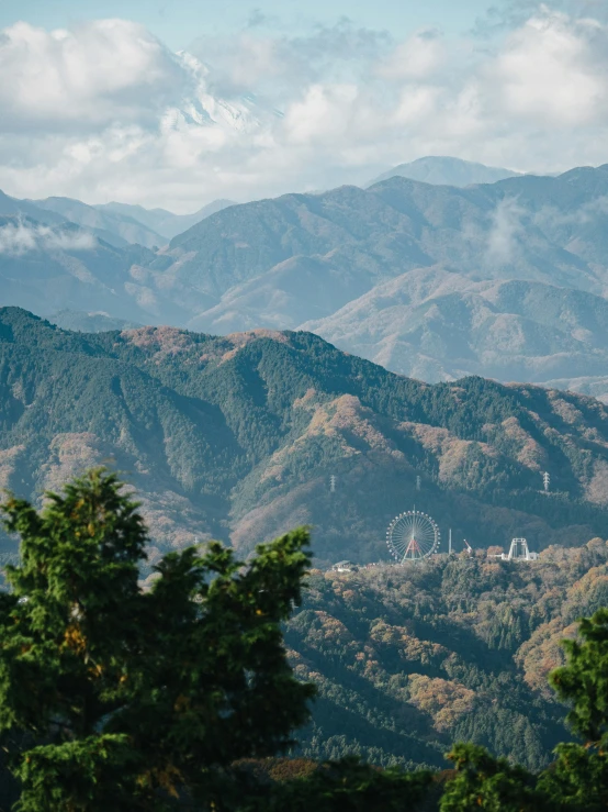 many trees near a mountain are seen in this view