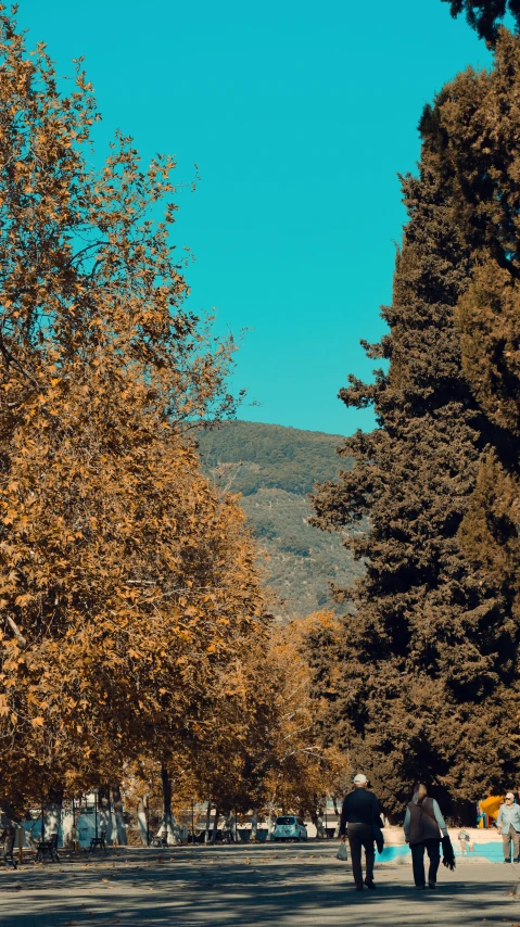 two people are walking down a paved street past colorful trees