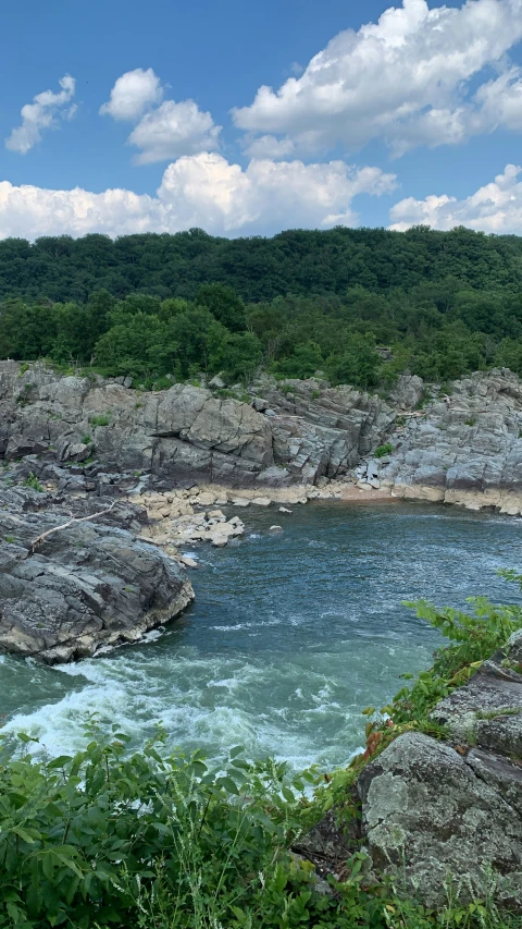 a small lake surrounded by green bushes on the side of a cliff