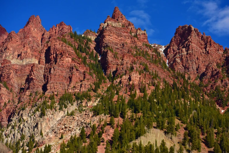 red rocks and green pine trees under a blue sky