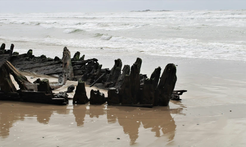 an ocean beach with some old broken wood