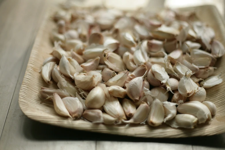 shell shells laying on a wooden plate