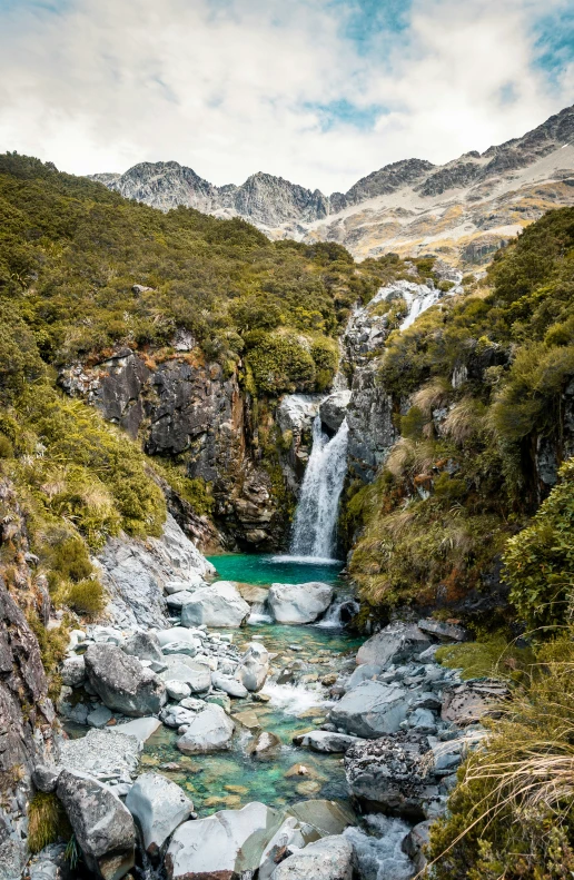 a river flowing between a mountain and a forest