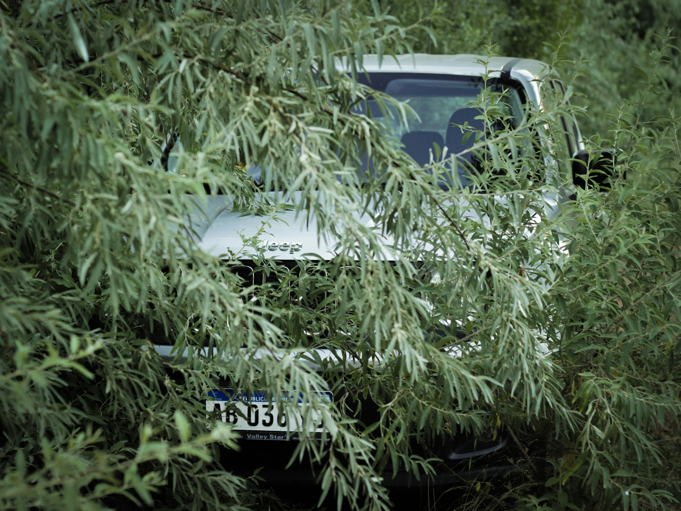 there is a truck with leaves on it in the bushes