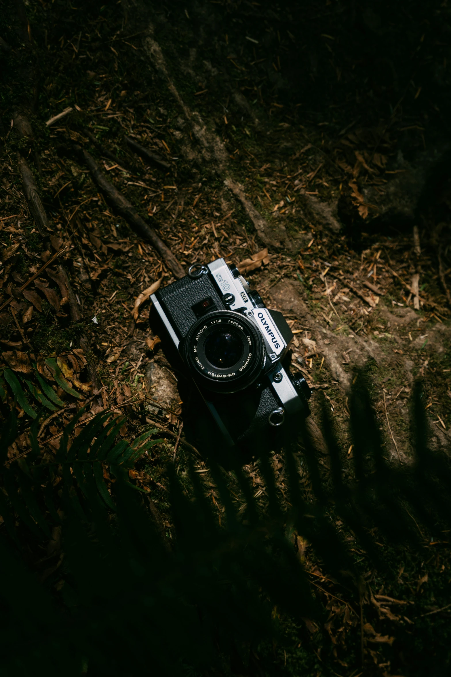 an old camera sitting in the woods next to a bush