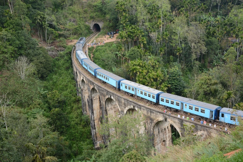 a train travels over a bridge in a forest