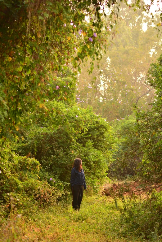 the woman walks in the middle of a forest