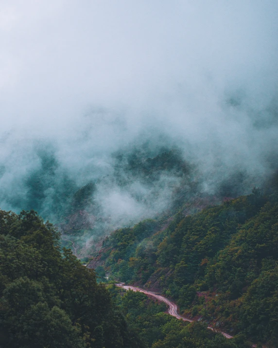 a misty view of the green trees and mountains