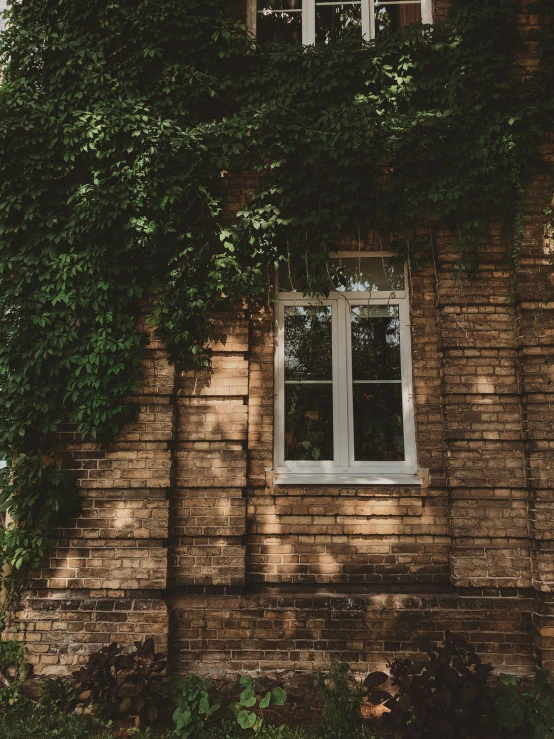 a brick wall with an open window covered in ivy