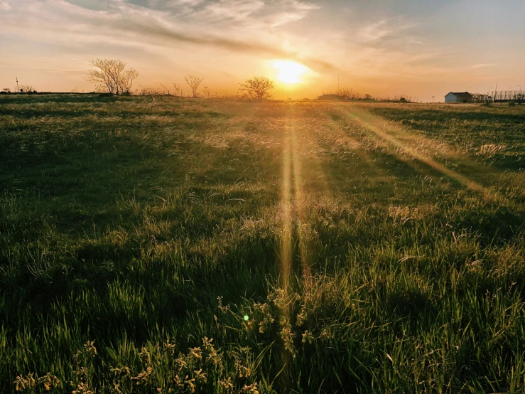 the sun setting over an open field with grass