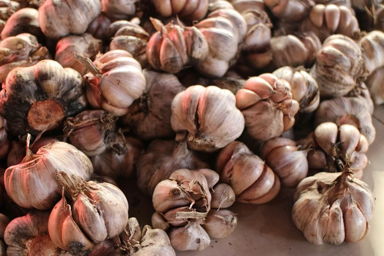 there are small bunches of garlic being sold at the market