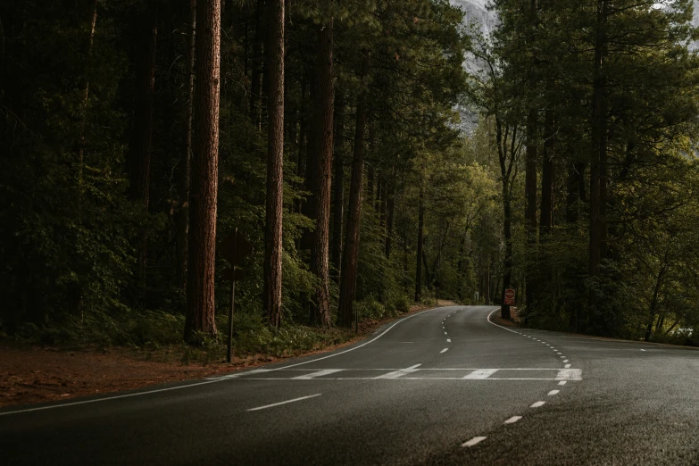 an empty road in a forest on a very cloudy day