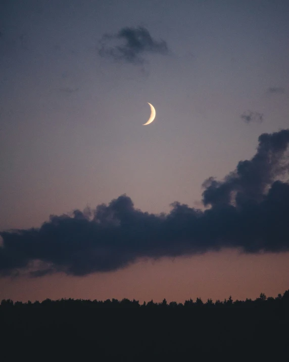 the moon rising behind some trees under a cloudy sky