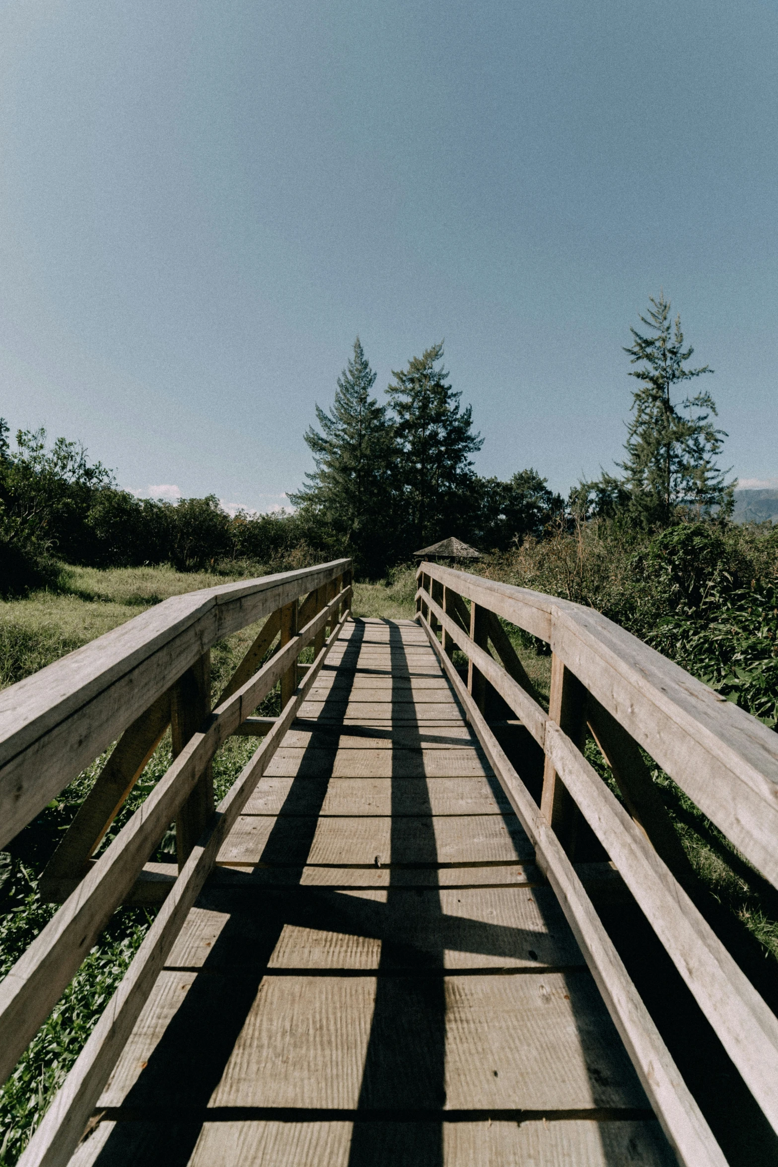 a narrow wooden bridge surrounded by trees and grass