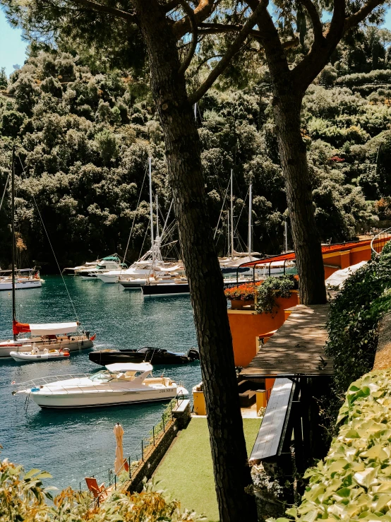 several boats are docked at a dock by a mountain