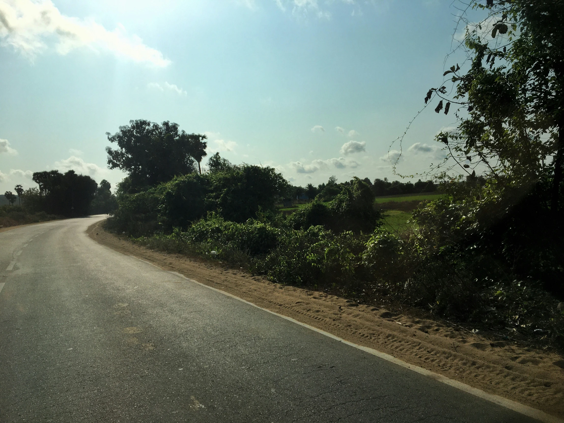 the road has a lot of trees on both sides