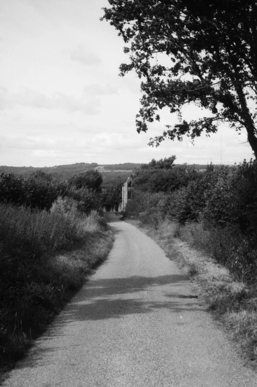 the long pathway winds through a green countryside