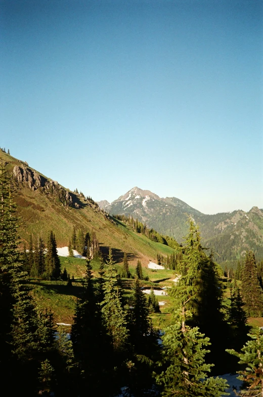 a view of the mountains in the distance, taken from a viewpoint of a meadow and trees