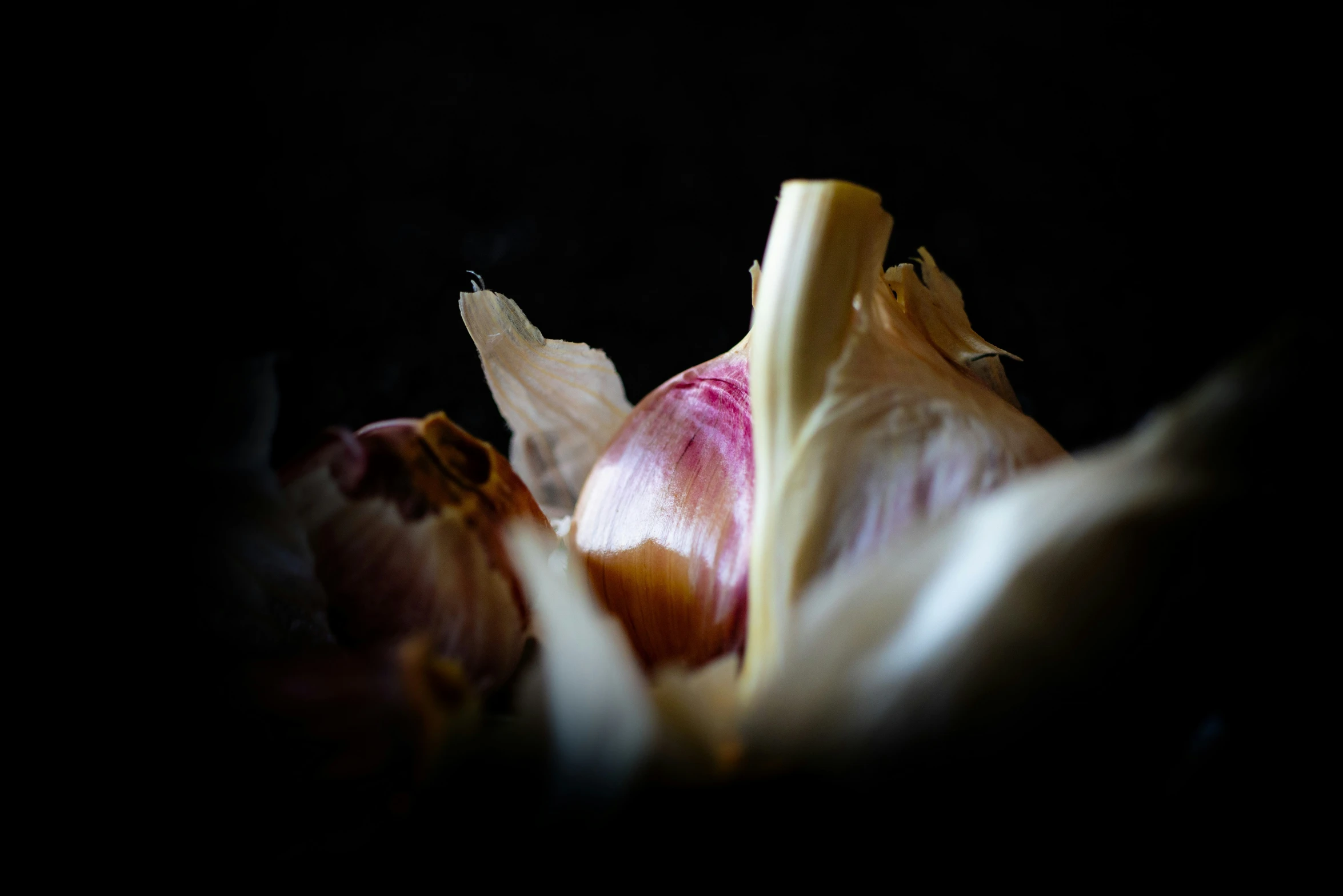 a close up view of an upturned flower