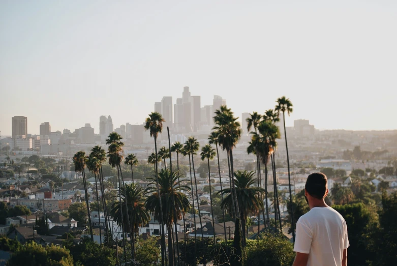 a man looking at the palm trees in front of a city