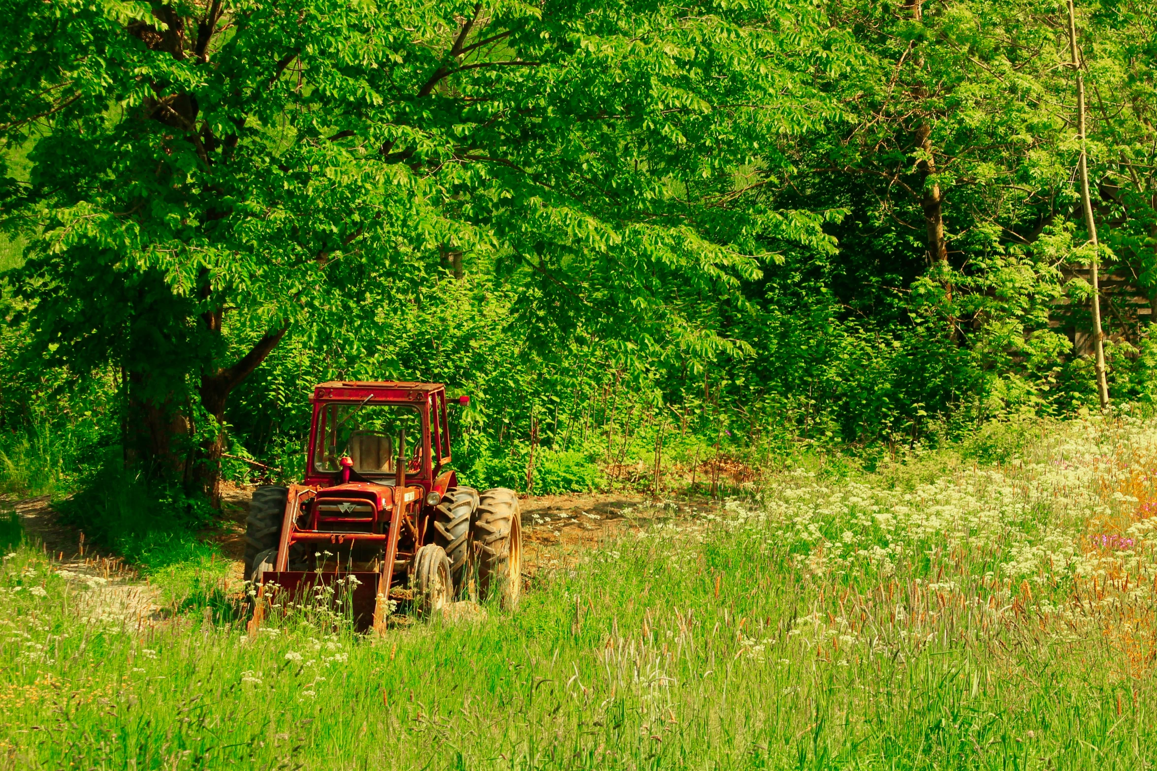 the old red tractor is parked in the tall grass