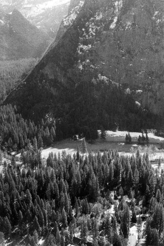 black and white image of mountains and trees in the snow