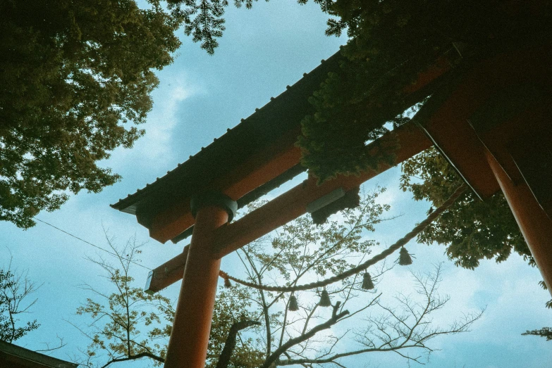 an arch in the middle of a forest